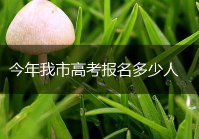 今年我市高考报名多少人