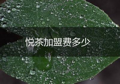 悦茶加盟费多少