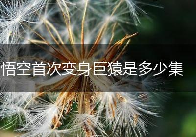 悟空首次变身巨猿是多少集