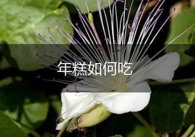年糕如何吃
