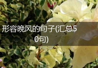 形容晚风的句子(汇总50句)
