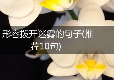 形容拨开迷雾的句子(推荐10句)