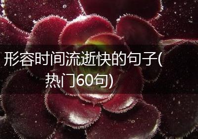 形容时间流逝快的句子(热门60句)