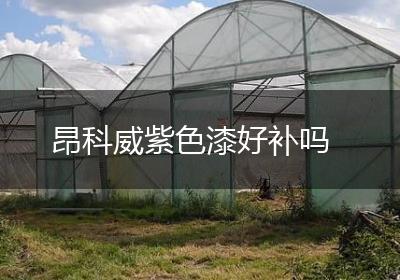 昂科威紫色漆好补吗