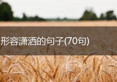 形容潇洒的句子(70句)