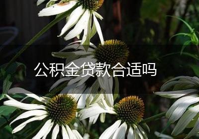 公积金贷款合适吗