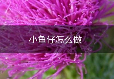 小鱼仔怎么做