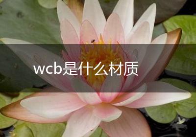 wcb是什么材质