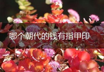哪个朝代的钱有指甲印