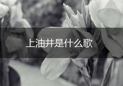 上油井是什么歌