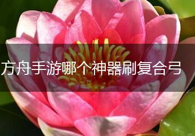 方舟手游哪个神器刷复合弓