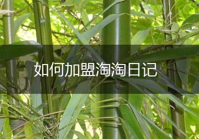 如何加盟淘淘日记