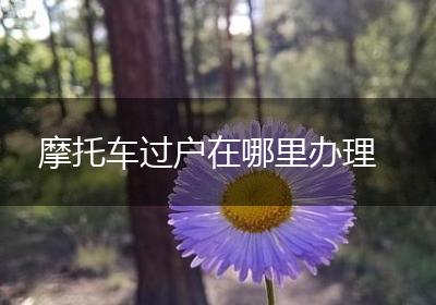 摩托车过户在哪里办理