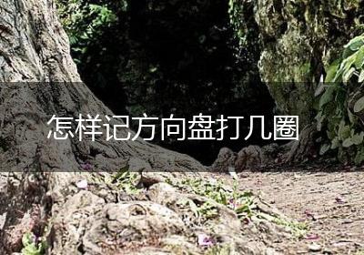 怎样记方向盘打几圈