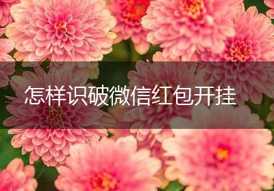 怎样识破微信红包开挂