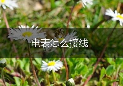 电表怎么接线