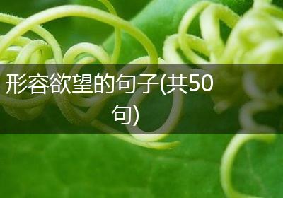 形容欲望的句子(共50句)