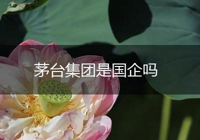 茅台集团是国企吗