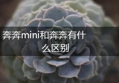 奔奔mini和奔奔有什么区别