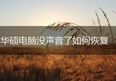 华硕电脑没声音了如何恢复