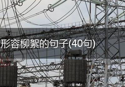 形容柳絮的句子(40句)