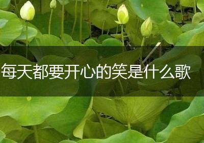 每天都要开心的笑是什么歌