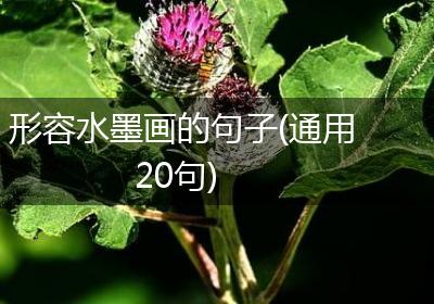 形容水墨画的句子(通用20句)