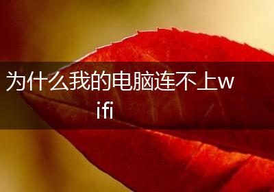 为什么我的电脑连不上wifi