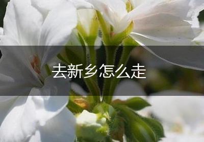 去新乡怎么走