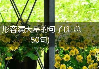 形容满天星的句子(汇总50句)
