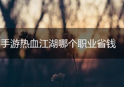 手游热血江湖哪个职业省钱