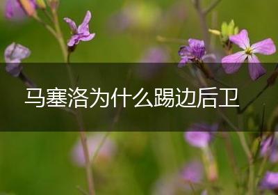 马塞洛为什么踢边后卫