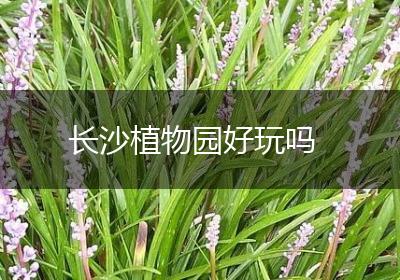 长沙植物园好玩吗