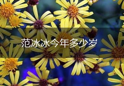范冰冰今年多少岁