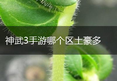 神武3手游哪个区土豪多