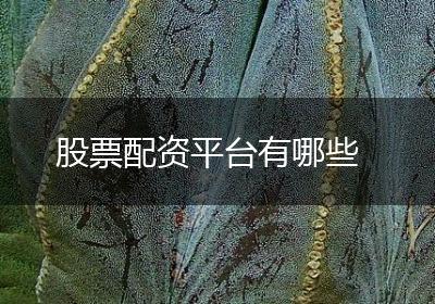 股票配资平台有哪些