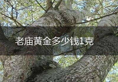 老庙黄金多少钱1克
