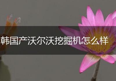 韩国产沃尔沃挖掘机怎么样