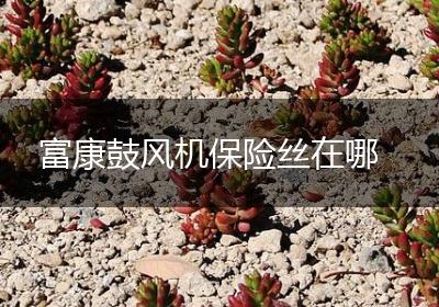 富康鼓风机保险丝在哪