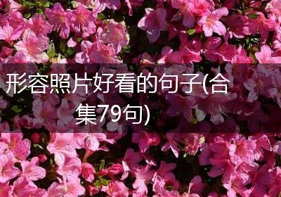 形容照片好看的句子(合集79句)