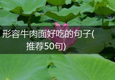 形容牛肉面好吃的句子(推荐50句)