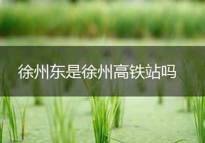 徐州东是徐州高铁站吗