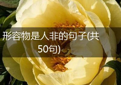 形容物是人非的句子(共50句)