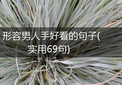 形容男人手好看的句子(实用69句)