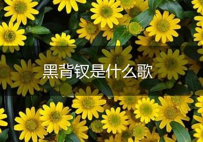 黑背钗是什么歌