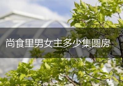 尚食里男女主多少集圆房