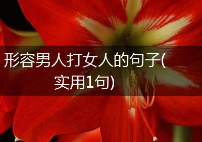 形容男人打女人的句子(实用1句)