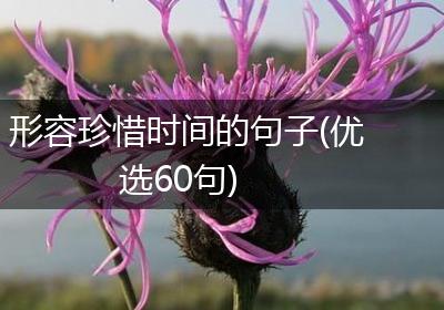 形容珍惜时间的句子(优选60句)