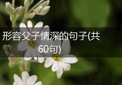 形容父子情深的句子(共60句)