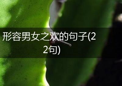 形容男女之欢的句子(22句)